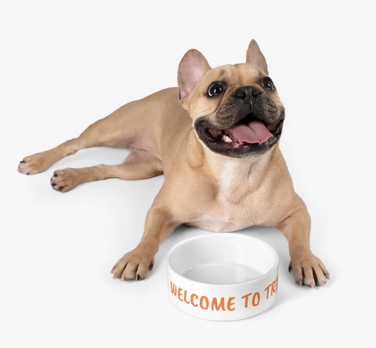 Dog Bowl